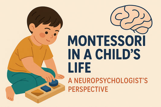Montessori in a Child's Life: A Neuropsychologist’s Perspective
