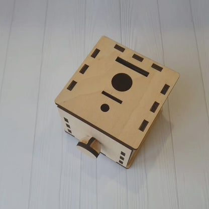 Wooden Montessori "Sorting Box Set"